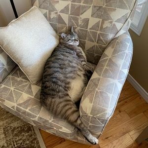 Meet your Posher, Thomas